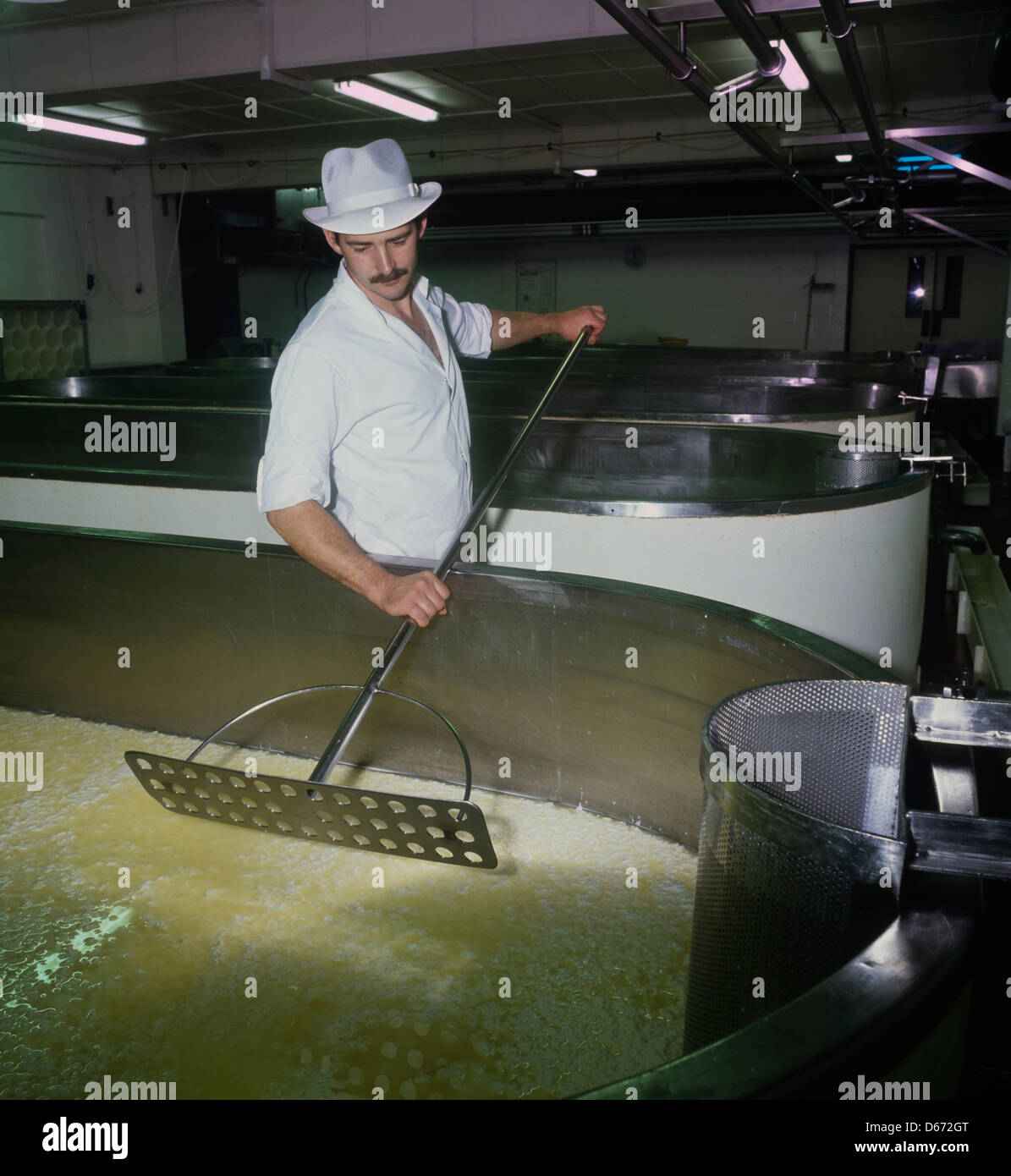 Schneiden Sie die Quark bei der langen Clawson Molkerei, lange Clawson, Melton Mowbray, Leicestershire Stockfoto