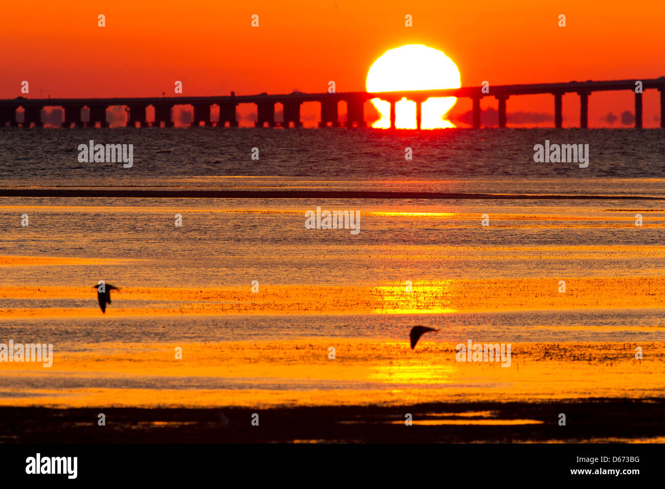 Sonnenaufgang am East Beach Fort De Soto, Florida, USA Stockfoto