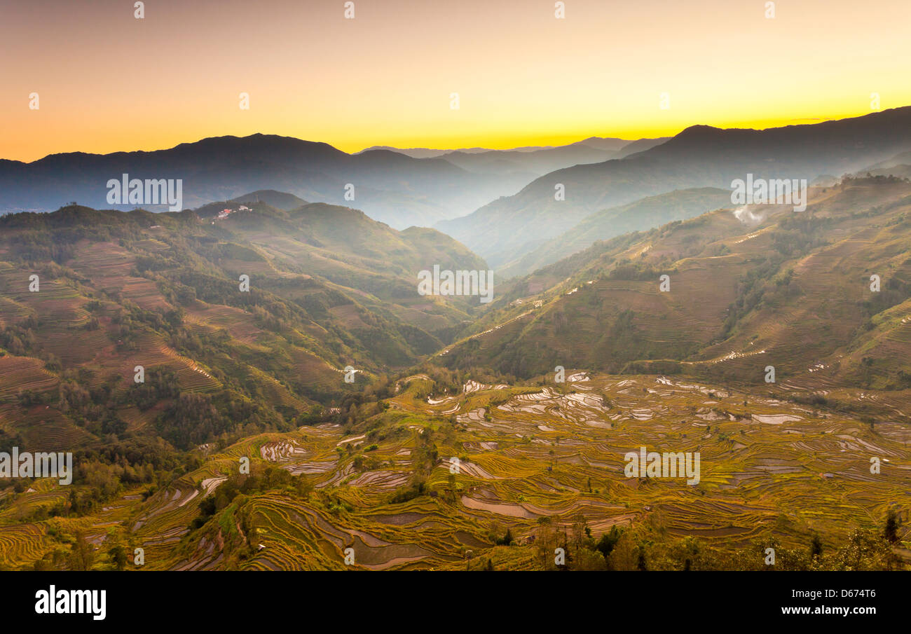 Yuanyang Reis Terrassen Sonnenuntergang in Yunnan, China. Stockfoto
