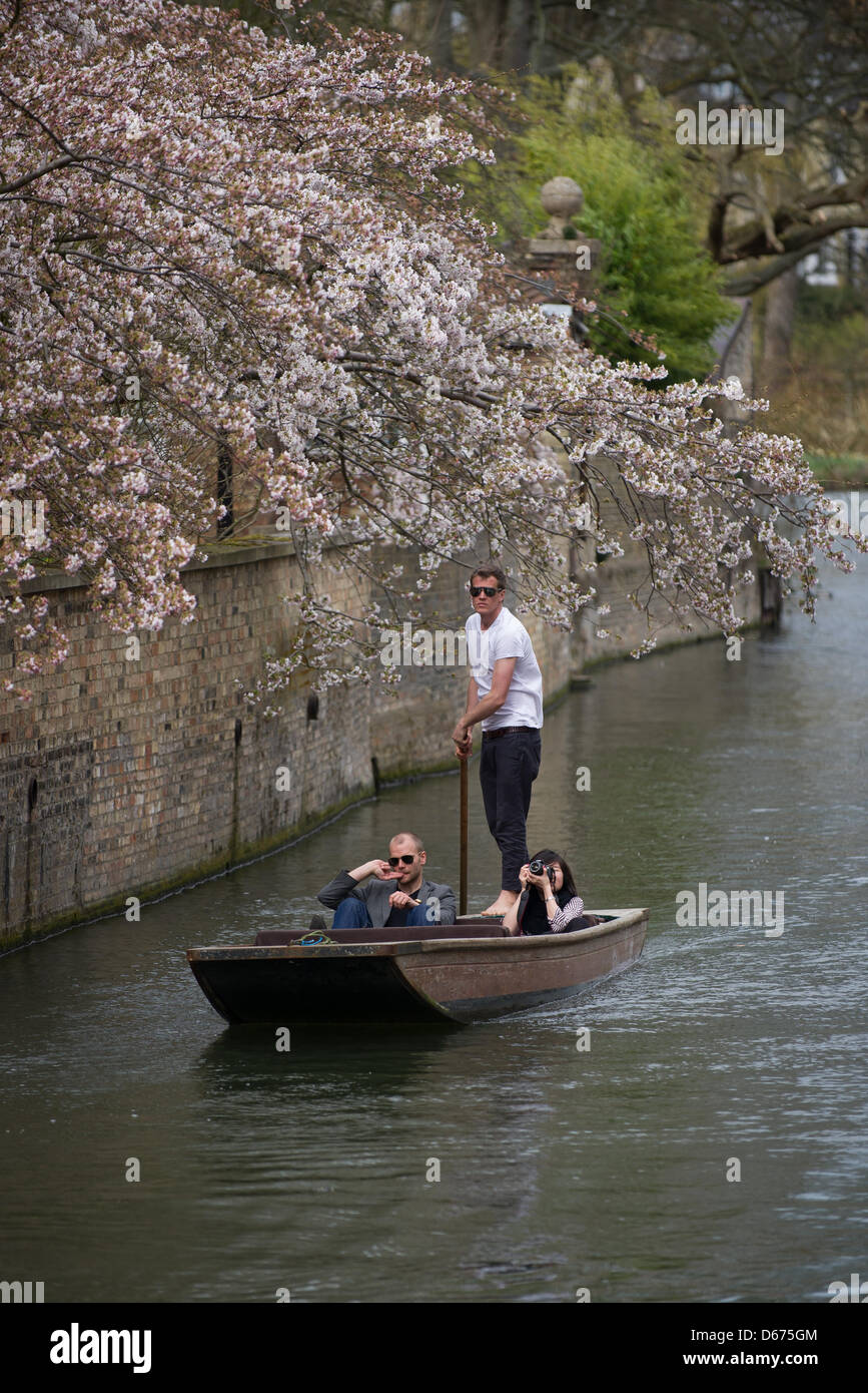 Cambridge, UK. 14. März 2013. Die Temperatur in Cambridge heute hat 20 Grad Celsius erreicht, nehmen Menschen Punting auf dem Fluss Cam und die Sonne genießen. JAMES LINSELL-CLARK/Alamy Live-Nachrichten Stockfoto