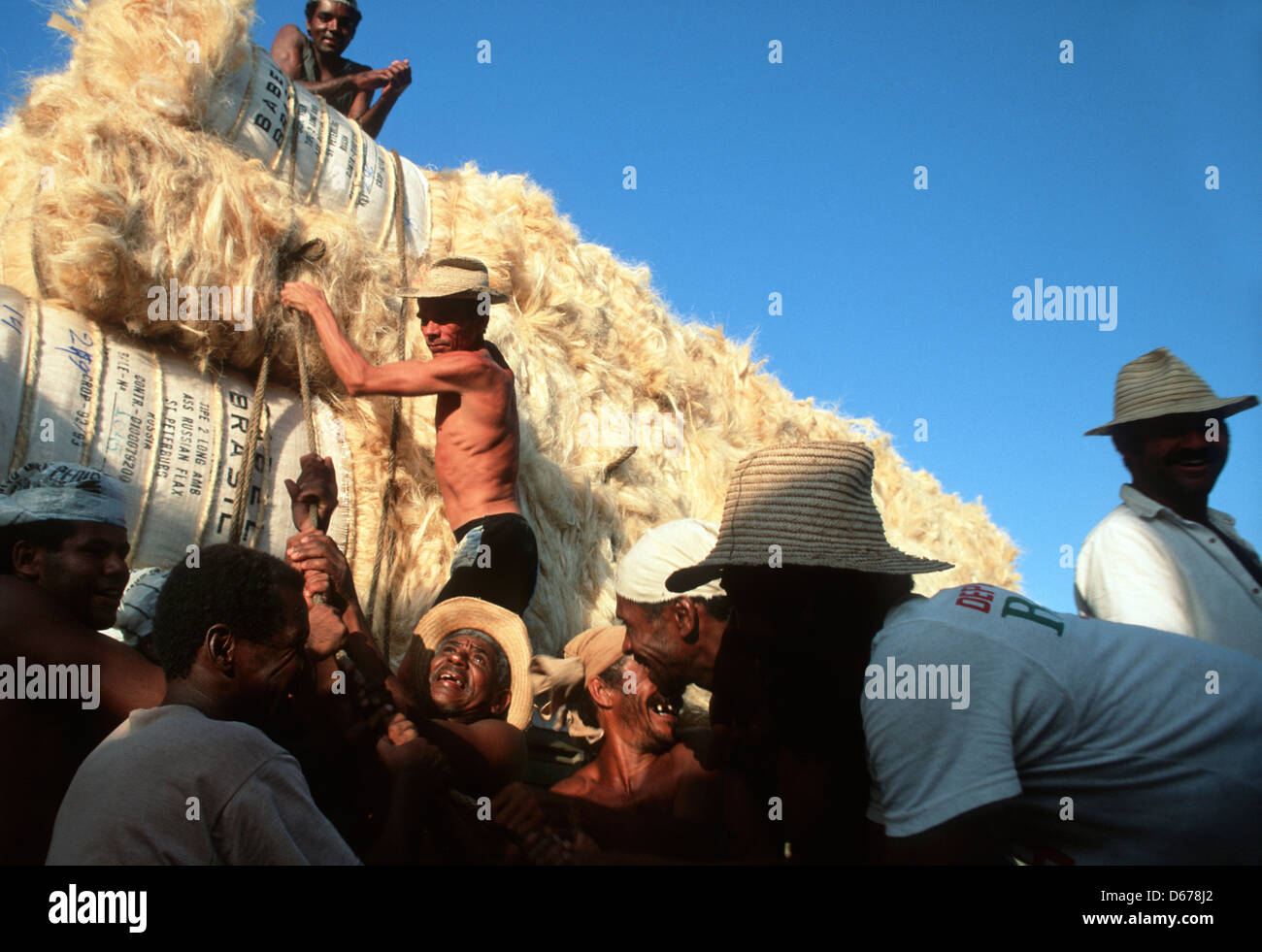 Stauer Arbeiter lachen während der Ladung LKW mit Sisal Gewinde, Produkt der Ausfuhr, Bundesstaat Bahia, Brasilien Stockfoto
