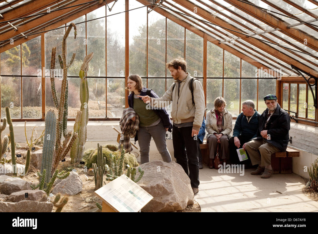 Menschen, die Kakteen im Gewächshaus betrachten, Botanischer Garten der Cambridge University, Cambridge, Großbritannien Stockfoto