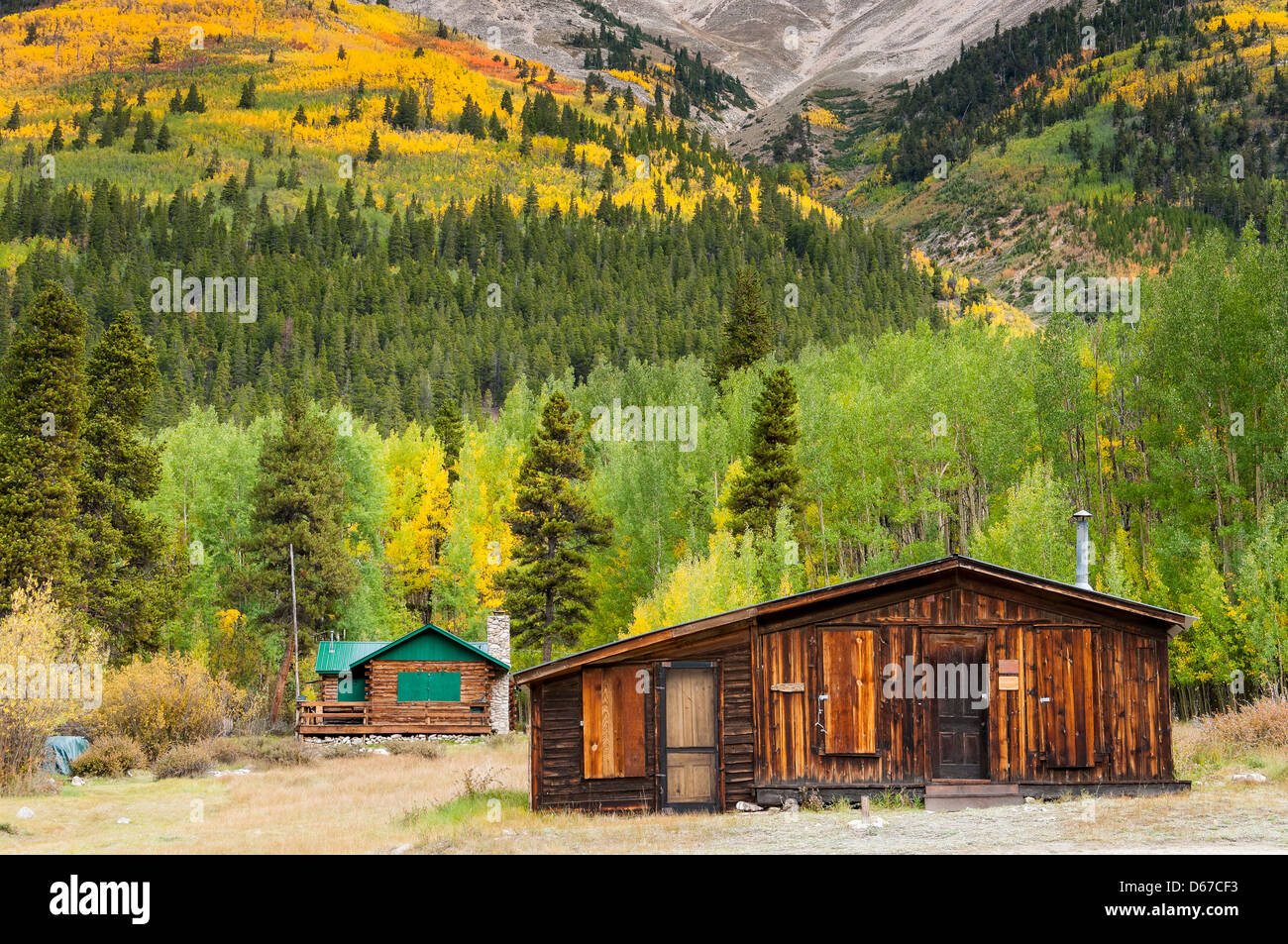 Hütte mit Herbstlaub, Winfield Geisterstadt Sawatch Mountains, Colorado. Stockfoto