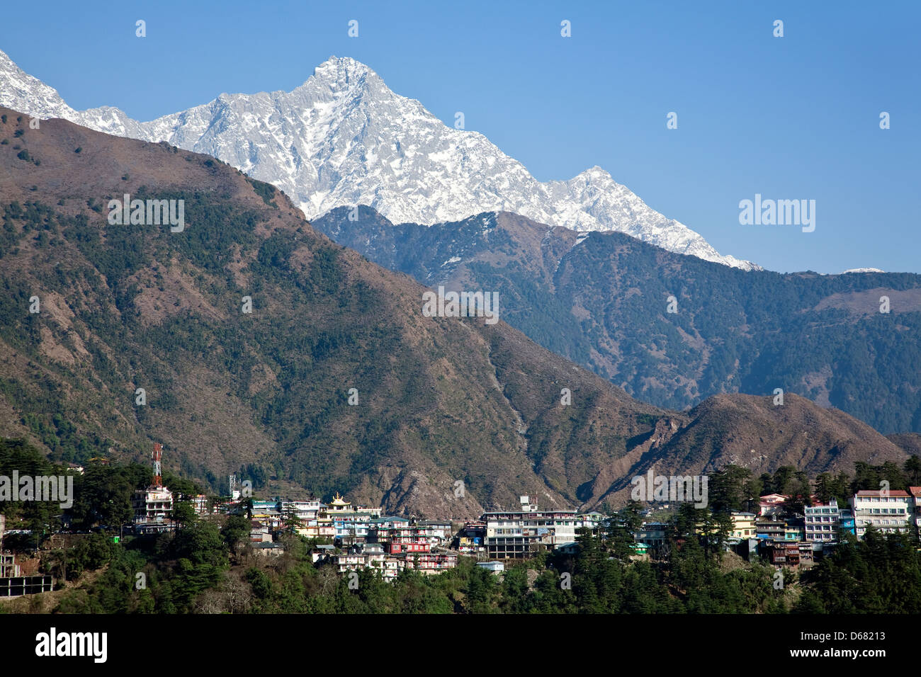 McLeod Ganj (Tibet Regierung im Exil). Dharamsala. Himachal Pradesh. Indien Stockfoto