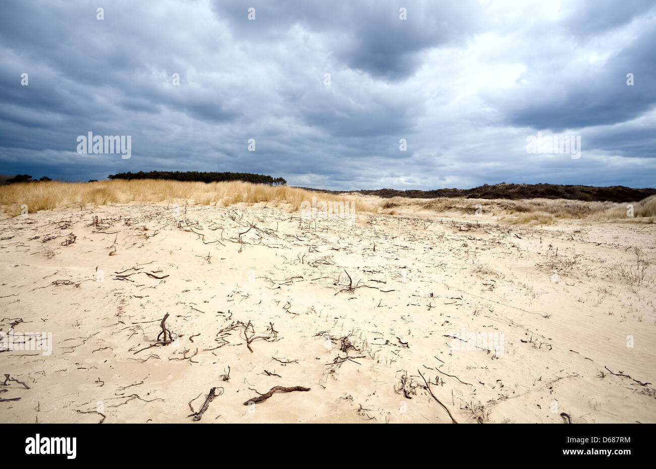 Sandwüste vor Sturm Stockfoto