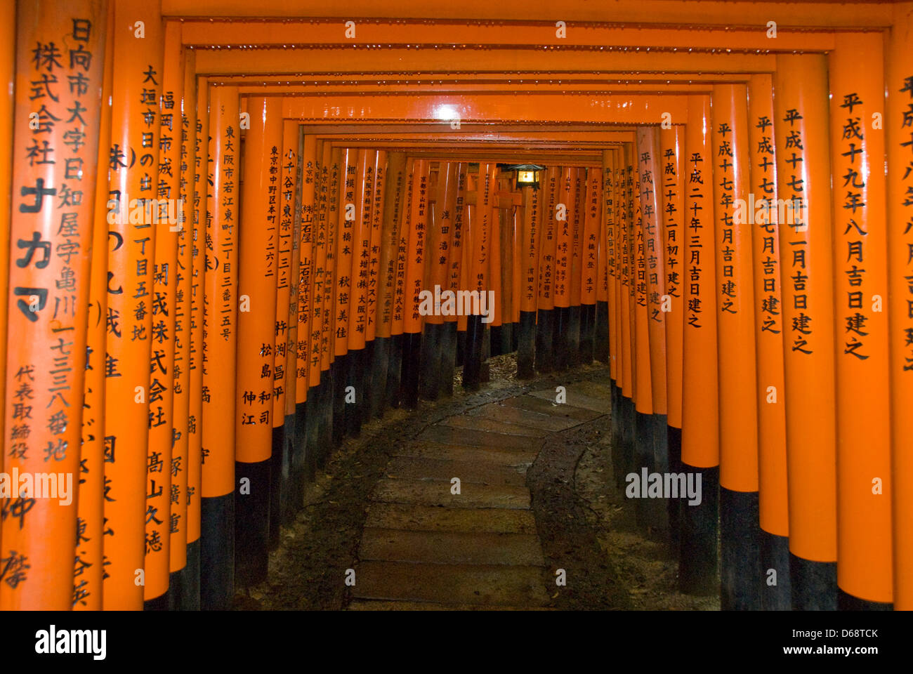 Torii am Fushimi Inari-Taisha Schrein, Kyoto, Japan Stockfoto