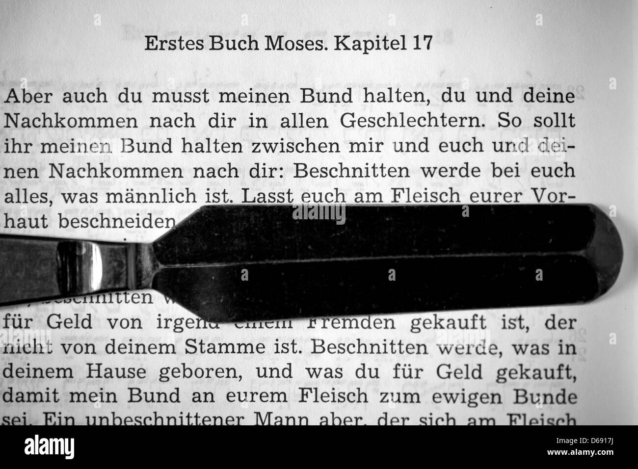 Ein Messer in die jüdische Beschneidung Zeremonie verwendet markiert die Phrasen in Deutsch "jeder Mensch unter euch wird beschnitten. Und Sie werden in das Fleisch Ihrer Vorhaut beschnitten werden ", ein Auszug aus dem ersten Buch Mose (Kapitel 17) des alten Testaments, in den Räumen der israelischen Kultusgemeinde in Hof, Deutschland, 26. Juli 2012. Kapitel 17 Staaten die Regeln für die Beschneidung. Pho Stockfoto