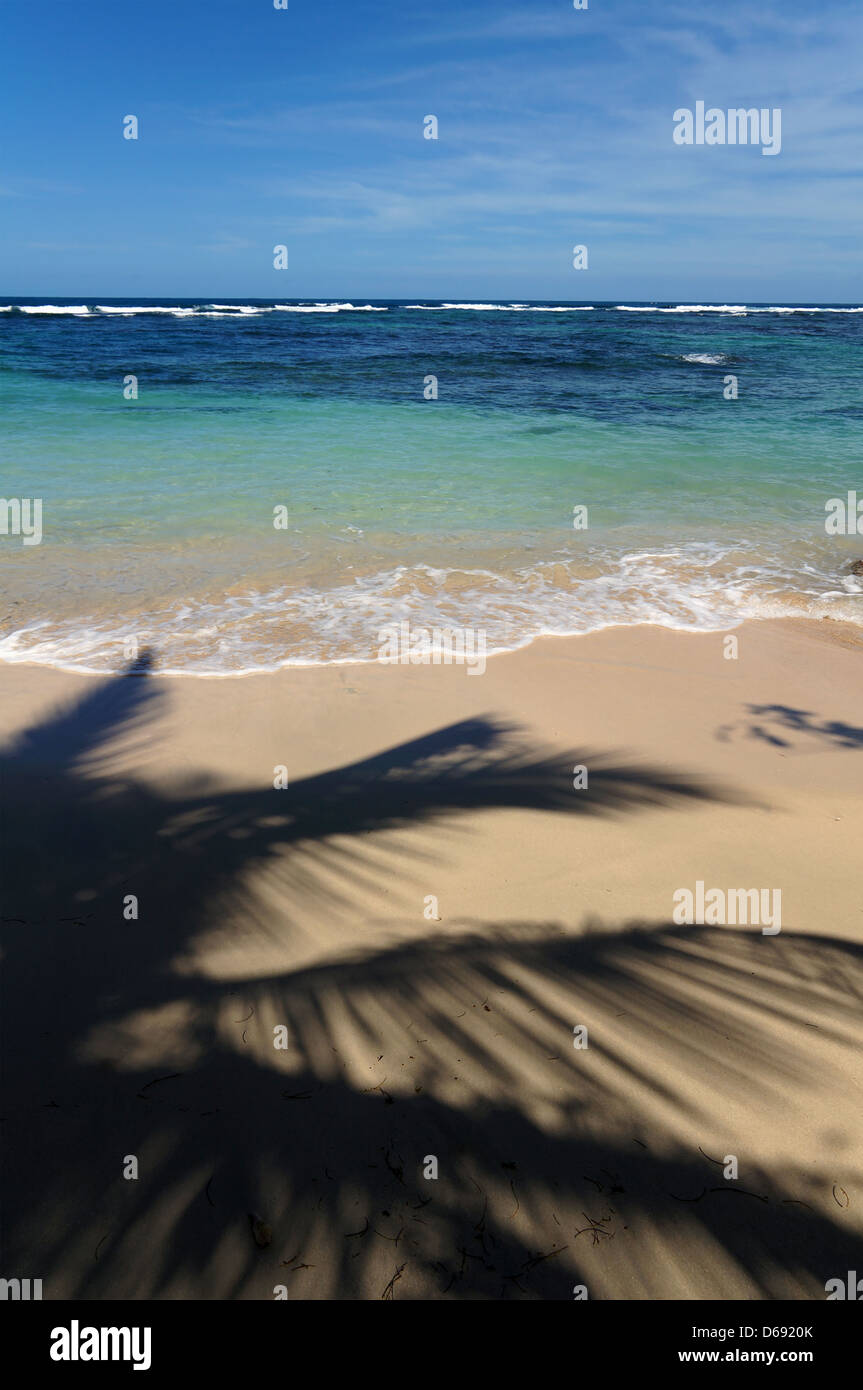 Kokospalmen Schatten an einem Sandstrand mit karibischen Meer im Hintergrund Stockfoto
