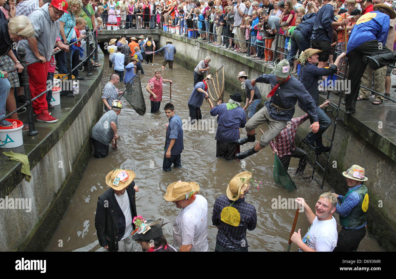 Teilnehmer des traditionellen "Fischertag" versuchen, Forellen mit Dip Netze an einem Stadt-Bach in Memmingen, Deutschland, 28. Juli 2012 zu fangen. 1600 Männer teilgenommen an der Veranstaltung, wo die Person mit der größten Forellen gekrönt "König der Fischer", für ein Jahr. Foto: Karl-Josef Hildenbrand Stockfoto