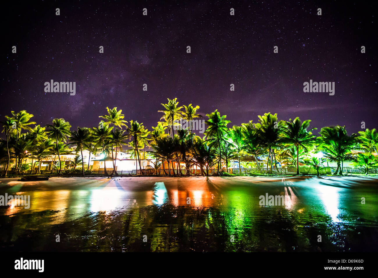 Palmen auf städtischen Küste in der Nacht Stockfoto