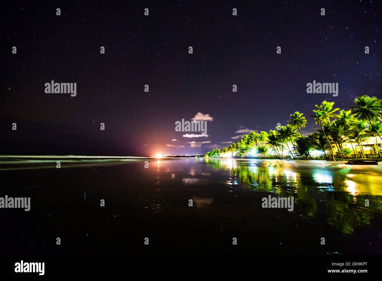 Palmen auf städtischen Küste in der Nacht Stockfoto