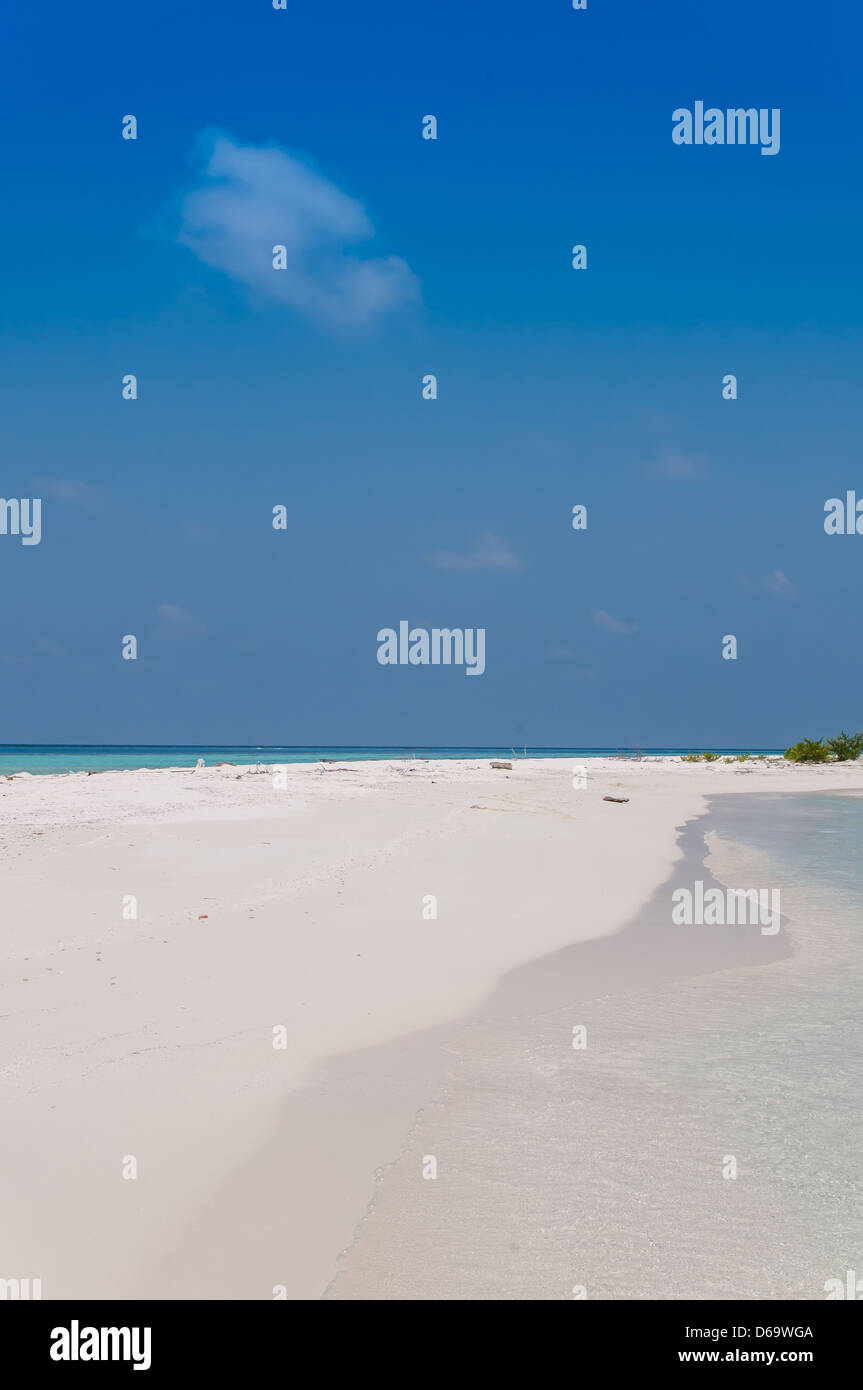 Schönen Strand der Insel auf den Malediven Stockfoto