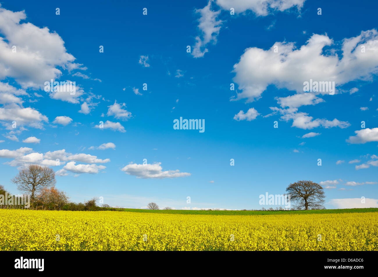 Tuscany Stockfoto