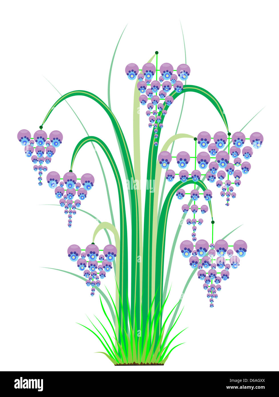 Strauch mit großen blauen violette Glocken Blumen Stockfoto