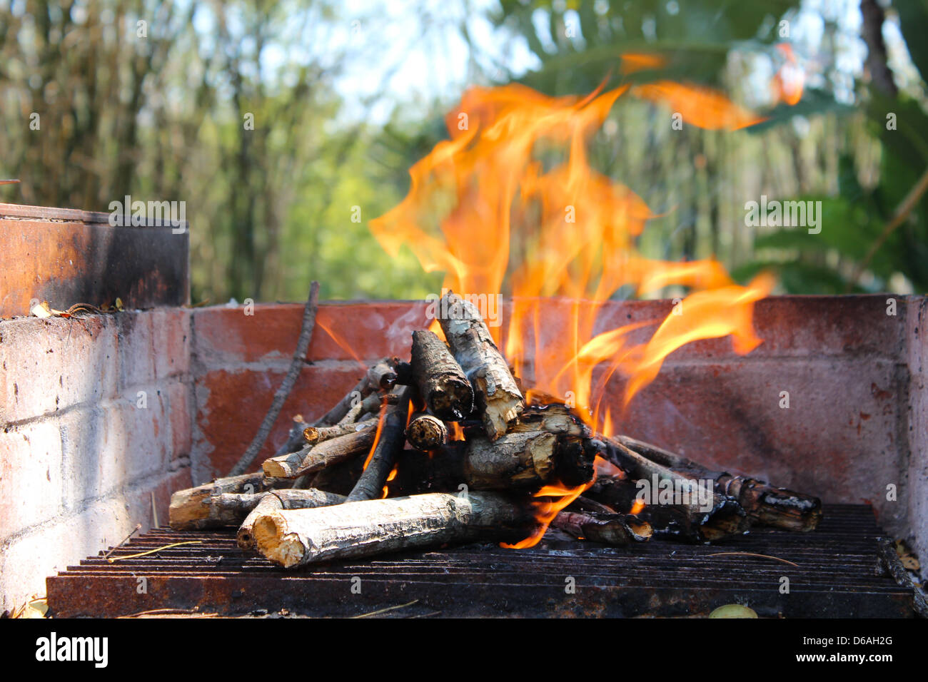 Brennenden Flammen auf einem Holzofen Stockfoto