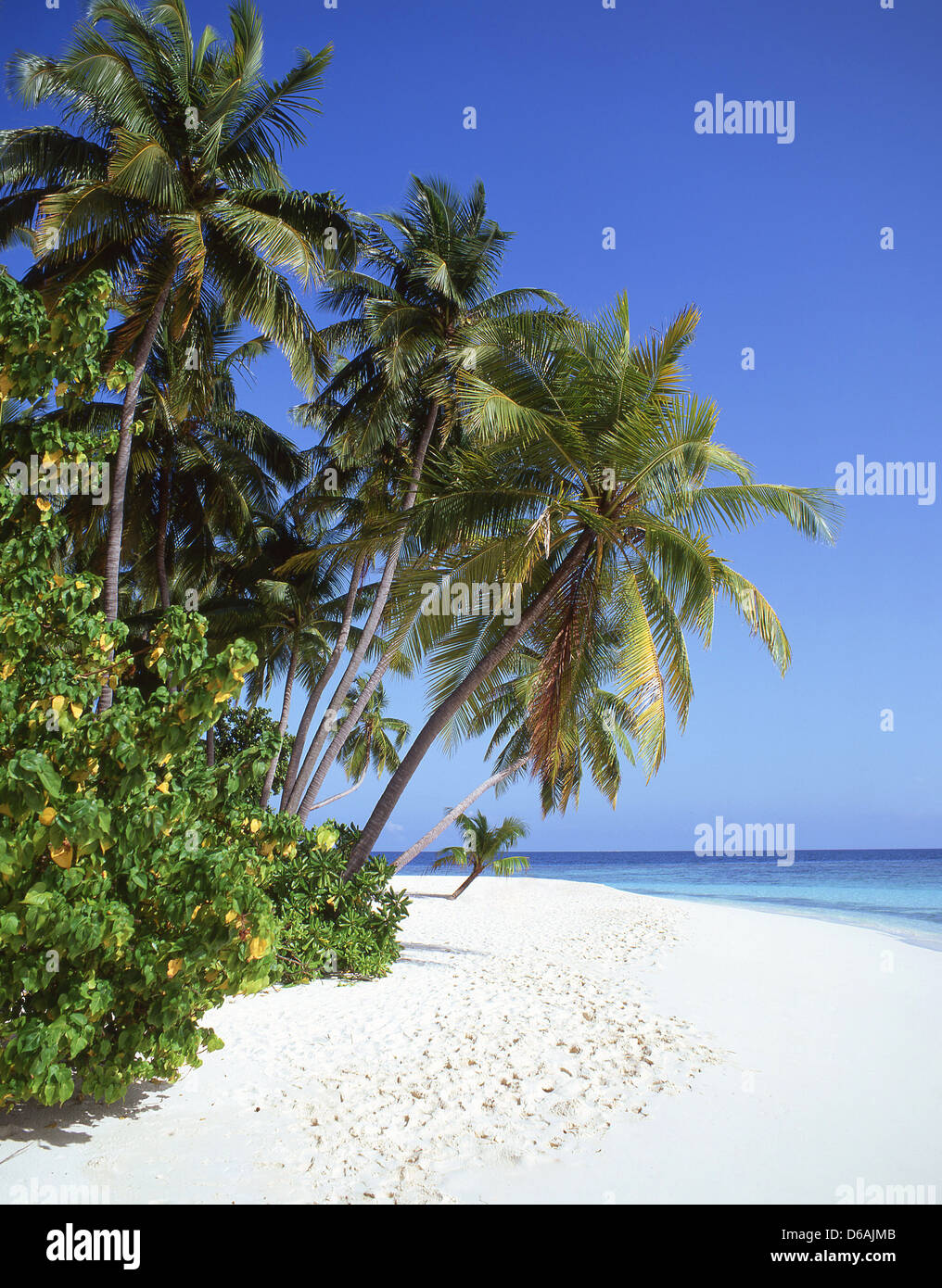 Tropischen Strandblick, Kuda Bandos, Republik Malediven, Kaafu Atoll, Bandos Island Stockfoto