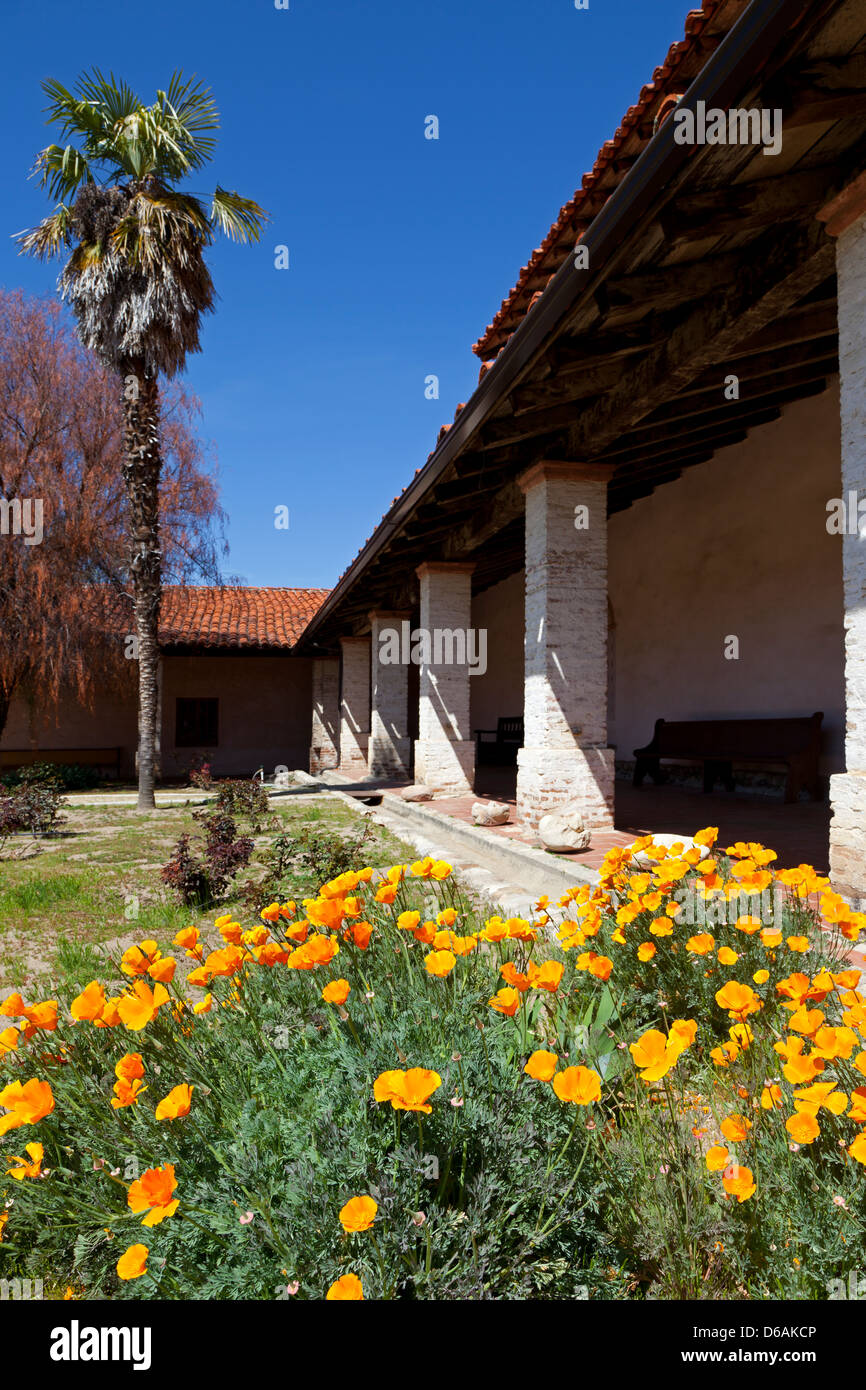 California-Mohn-Blüte auf der Terrasse an Mission San Antonio de Padua im kalifornischen Monterey County entlang der El Camino Real Stockfoto