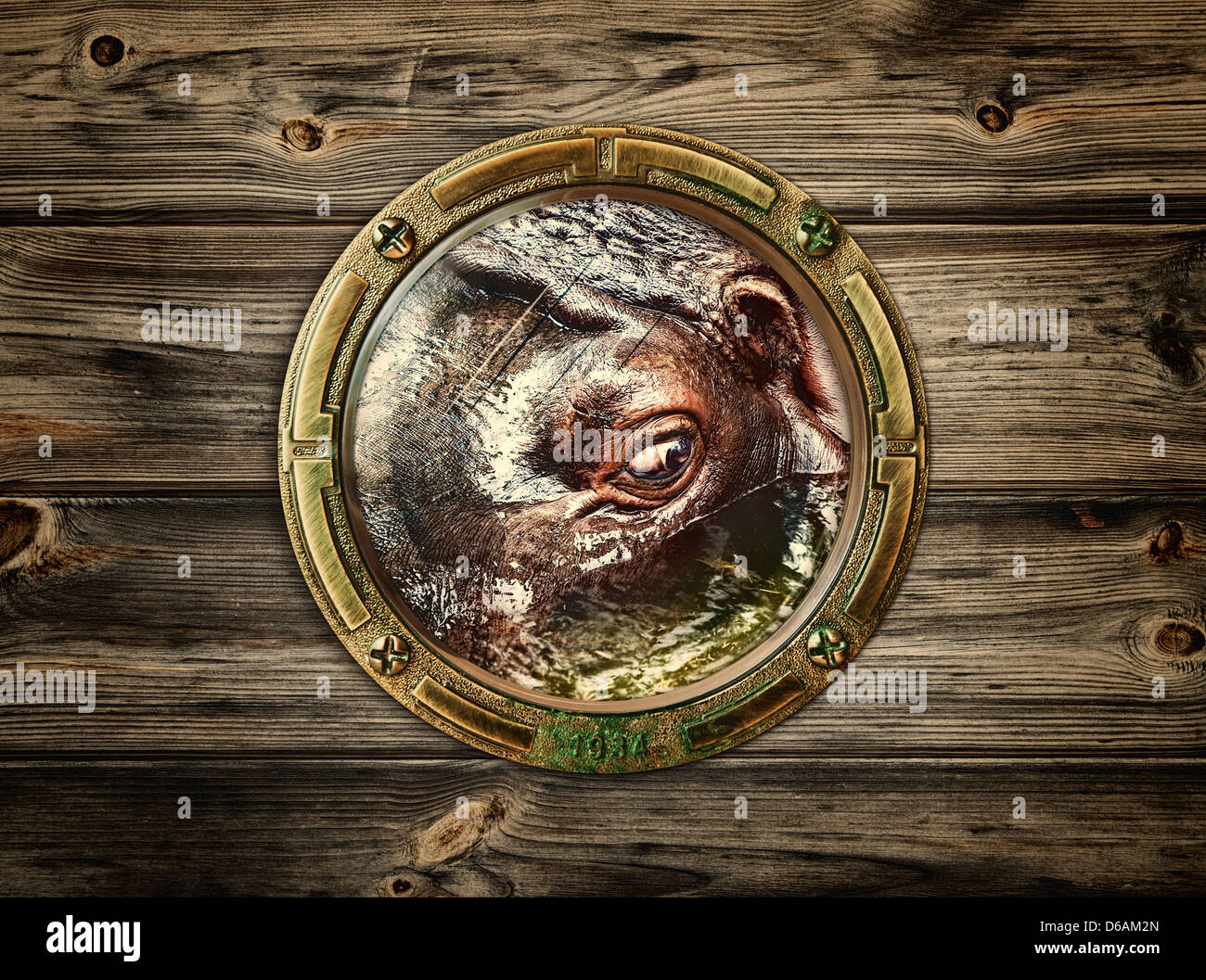 Bullauge Stockfoto, Bild 55554317 Alamy