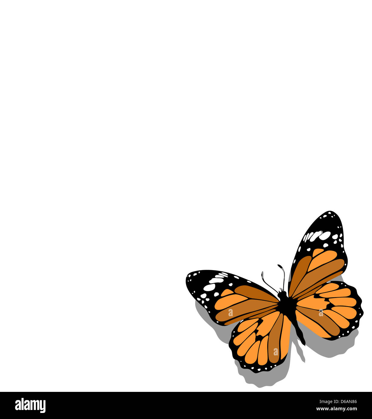 Schmetterling auf Papier 11 Stockfoto