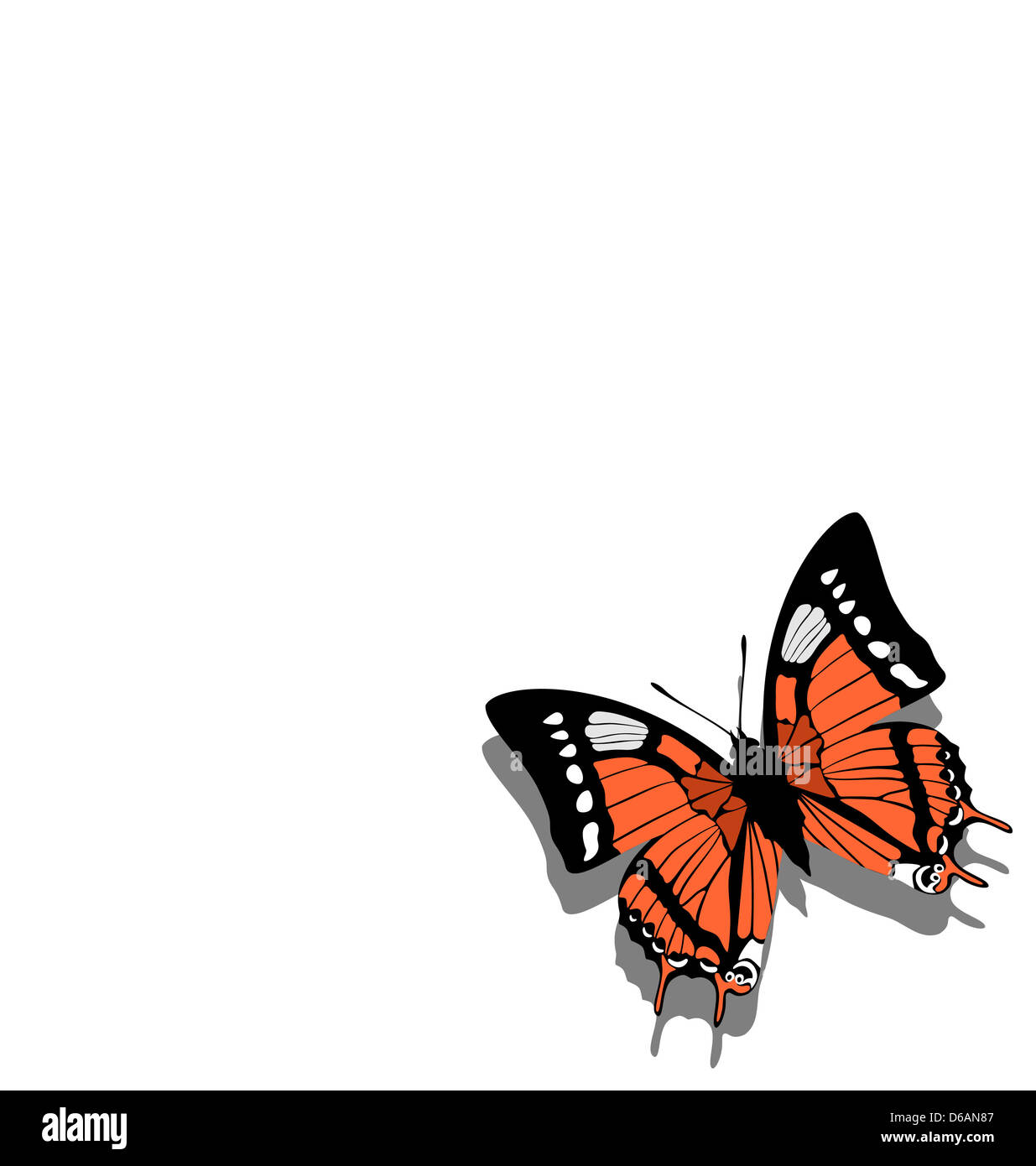 Schmetterling auf Papier 05 Stockfoto