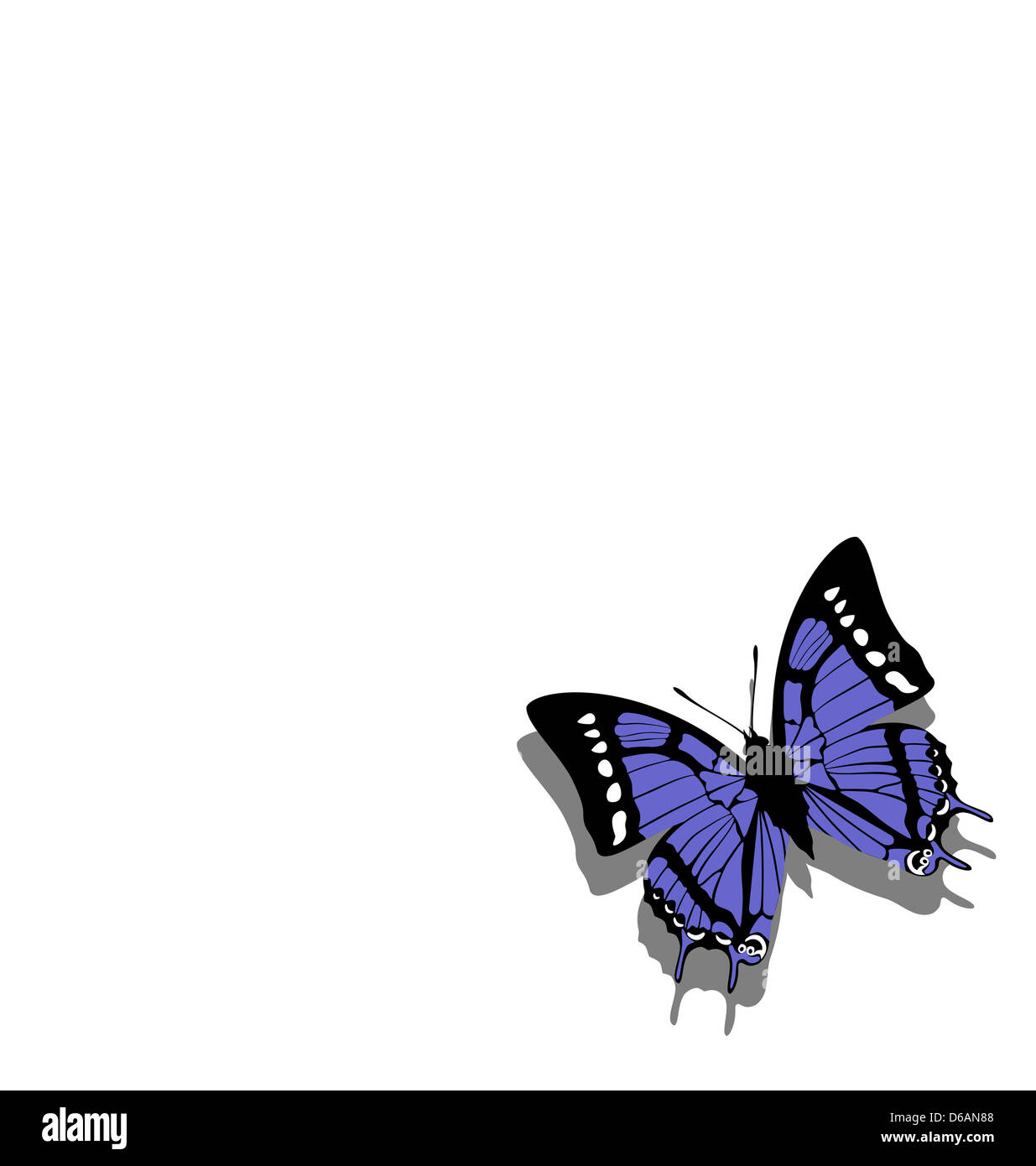Schmetterling auf Papier 06 Stockfoto