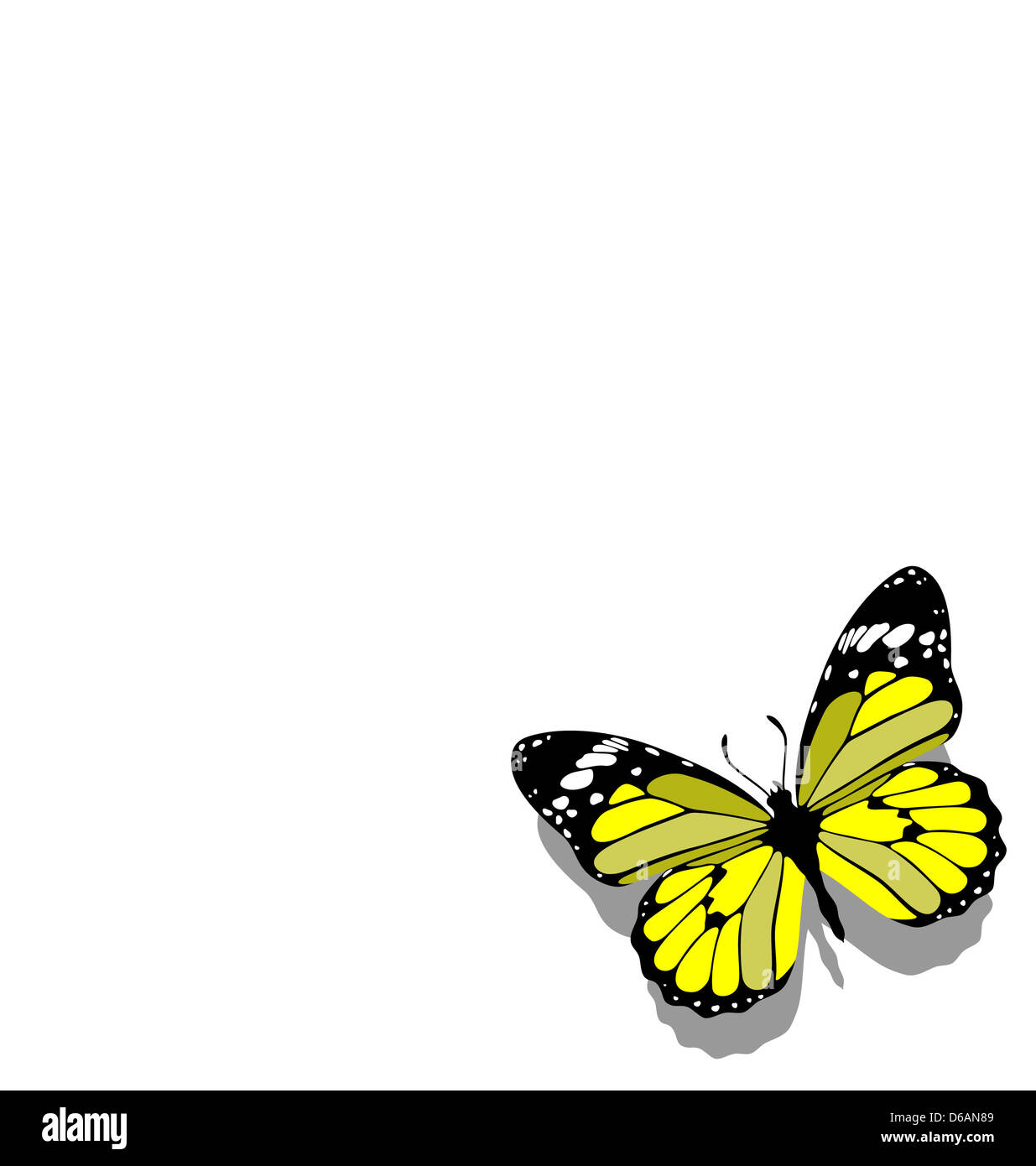 Schmetterling auf Papier 09 Stockfoto