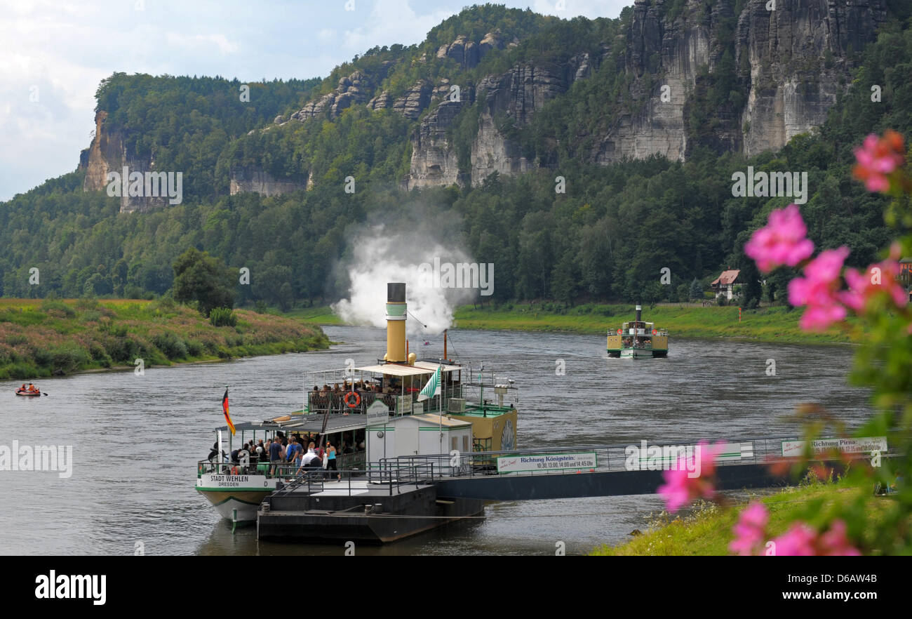 Zwei historische Raddampfer fahren Sie entlang der Elbe unterhalb der Sondstone Felsen in der sächsischen Schweiz in Rathen, Deutschland, 8. August 2012. vor 175 Jahren ging der erste Raddampfer auf seiner ersten Reise zu Rathen. Foto: Matthias Hiekel Stockfoto