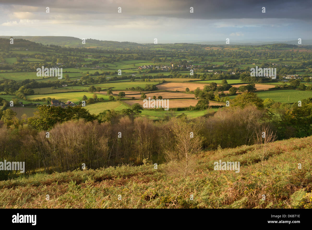 Morgenlicht schlagen Culm Tal in Devon, England. Stockfoto