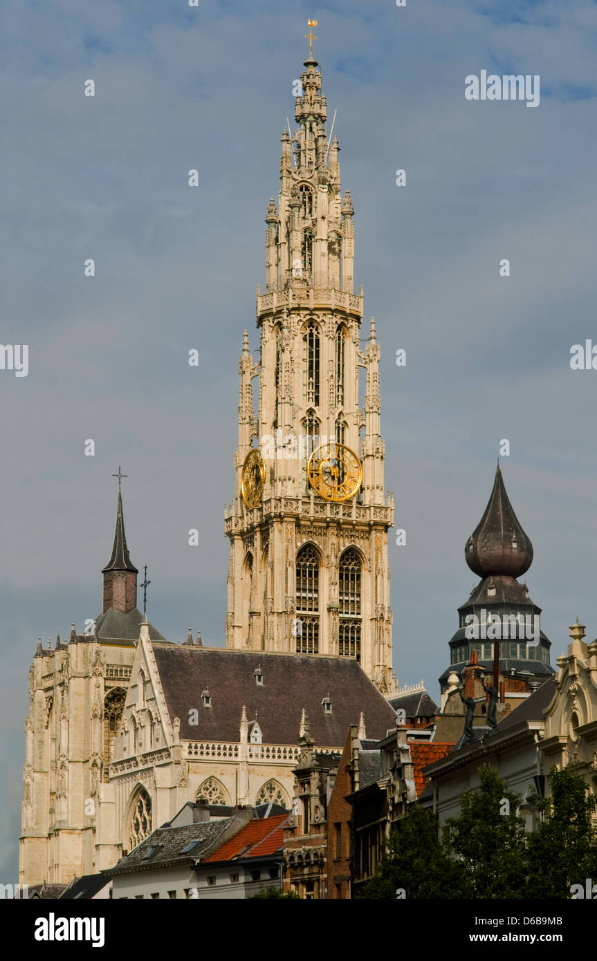 Kathedrale unserer lieben Frau, Antwerpen, Belgien Stockfoto