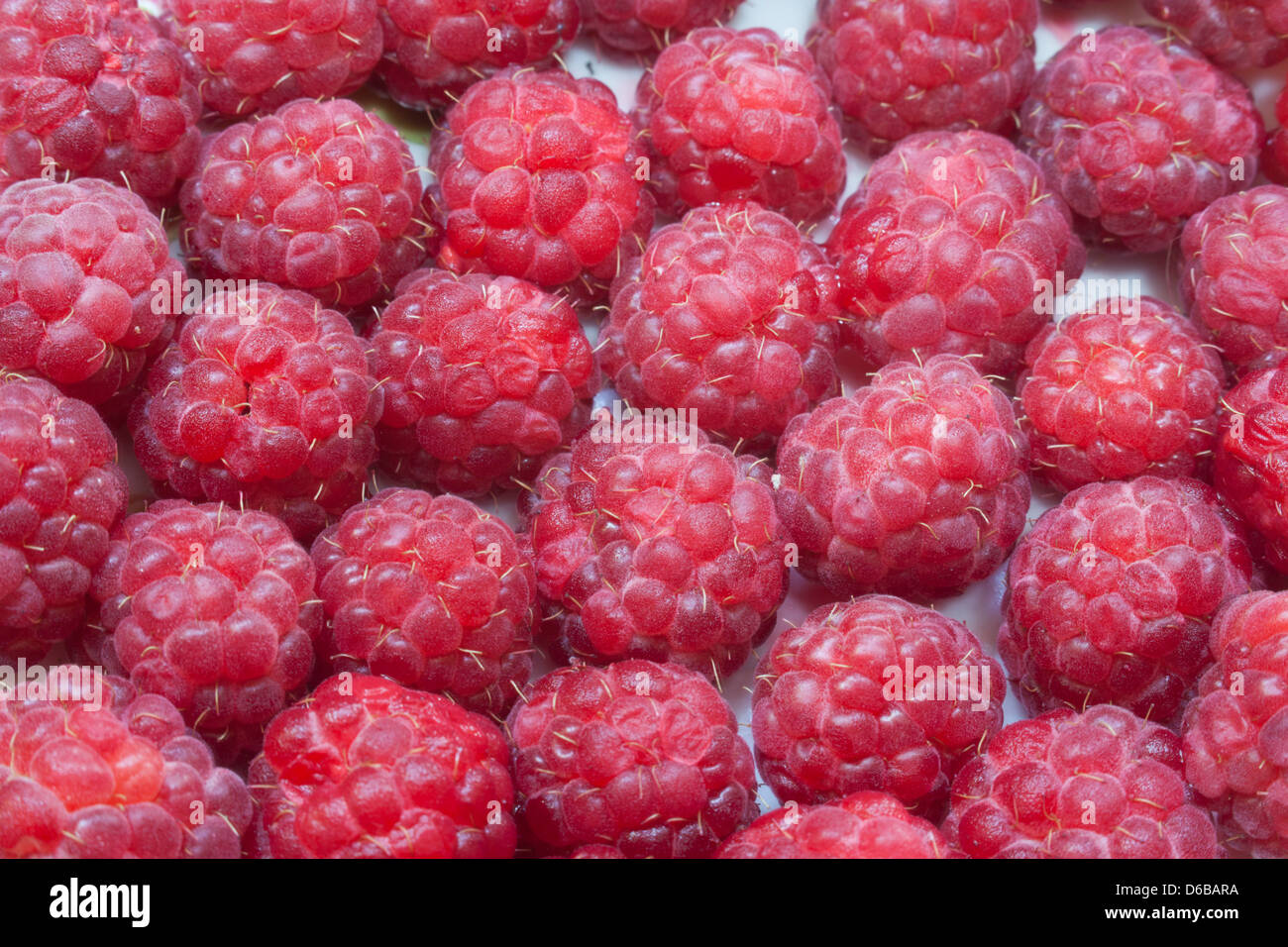 Himbeer dessert Stockfoto