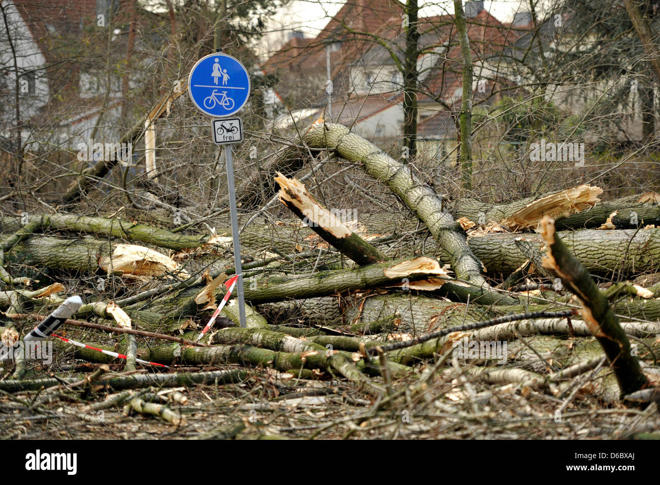 Ein Straßenschild steht in der Mitte gefällte Bäume auf der Bundesstraße B 224 in Bottrop, Deutschland, 4. Januar 2012. Da weitere Stürme vorhergesagt haben, müssen zahlreiche faule Bäume vorsorglich auf einer Strecke von 1,5 km der Straße abgeholzt werden. Während der Nacht Zyklon hatte "Ulli" bereits mehrere Bäume schnappte. Foto: MARIUS BECKER Stockfoto