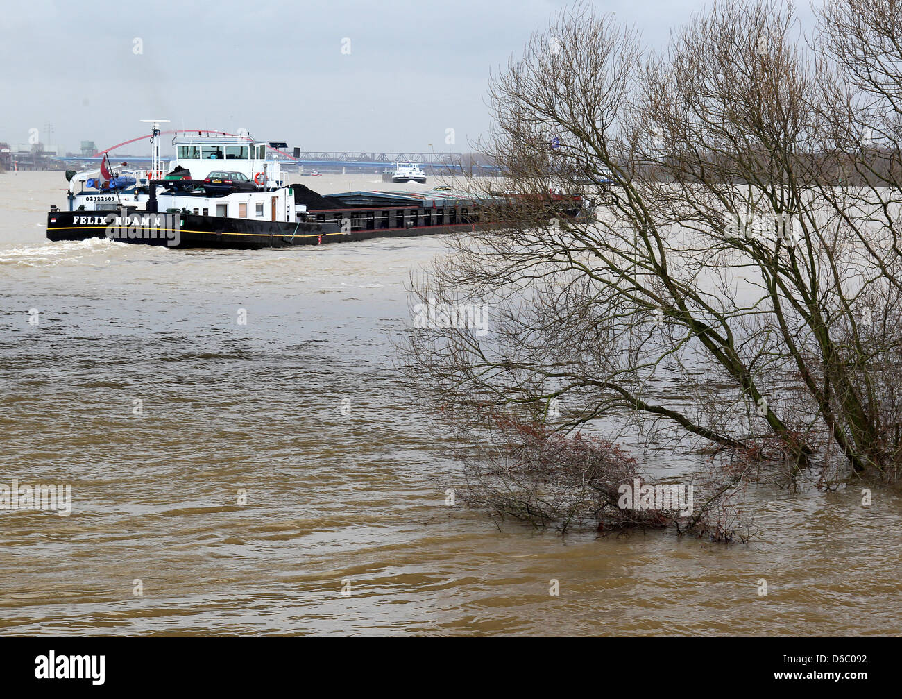 Ein Berufsschiffer Fährt bin Samstag (07.01.2012) Auf Dem Rhein in Höhe Duisburg Mit seit Lastkahn ein Einems Unter Wasser Stehenden Baum Vorbei. Weggen der Anhaltenden Regenfälle hat der Rhein Seinen Flussbett Verlassen Und ist Vielen Stellen Über Die Ufer Getreten. Sonntag (08.01.2012) Soll der Pegel Langsam Wieder bin gefallen.  Foto: Roland Weihrauch Dpa/lnw Stockfoto