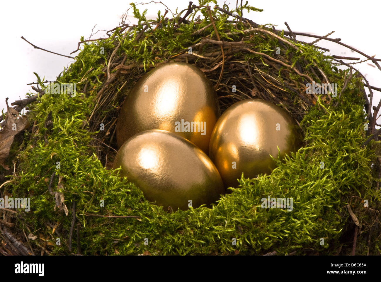 Goldenen Eiern in einem nest Stockfoto
