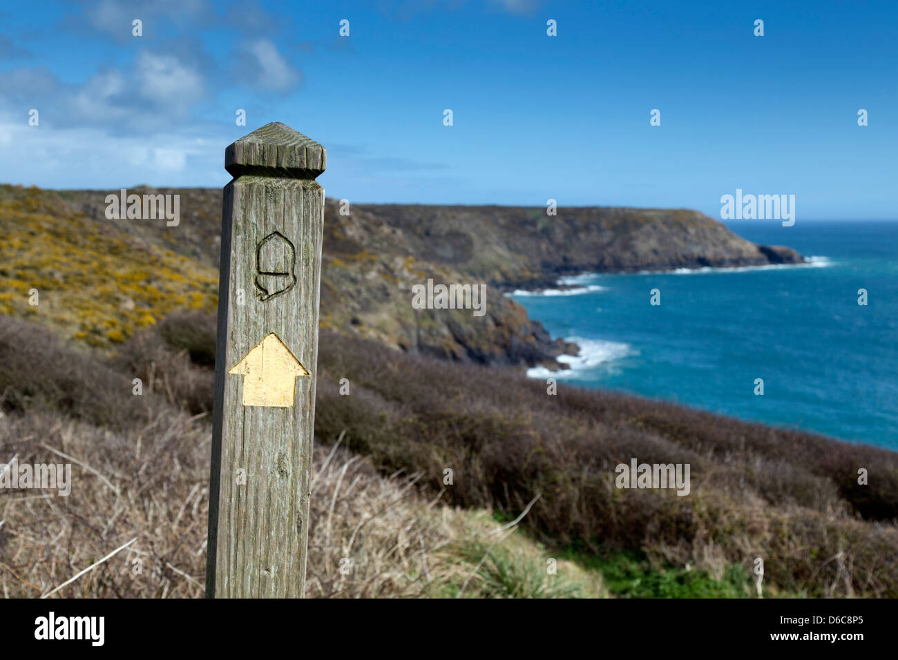 Küstenpfad; Lankidden; Die Eidechse; Cornwall; UK Stockfoto