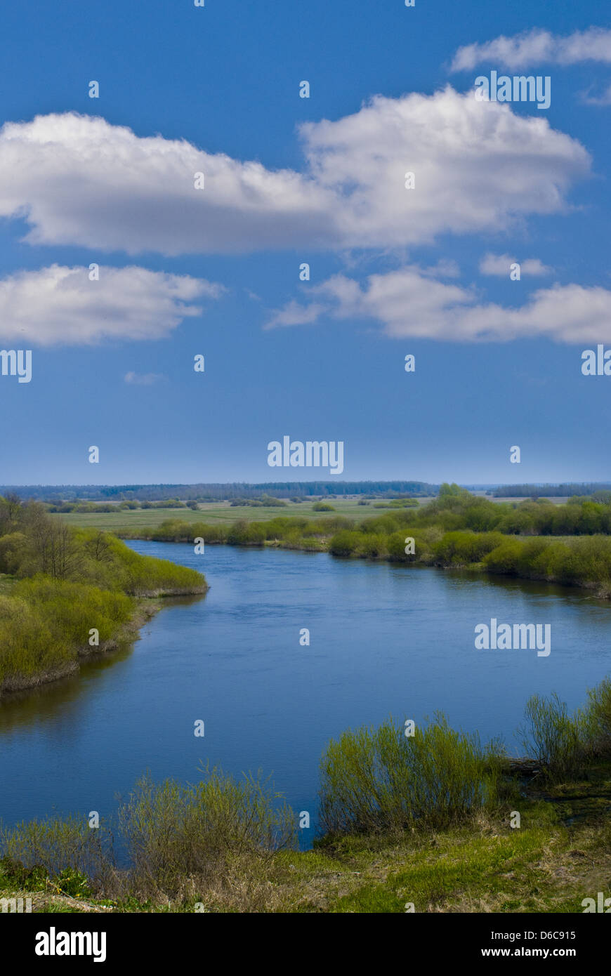 Frühling mit Flussblick Stockfoto