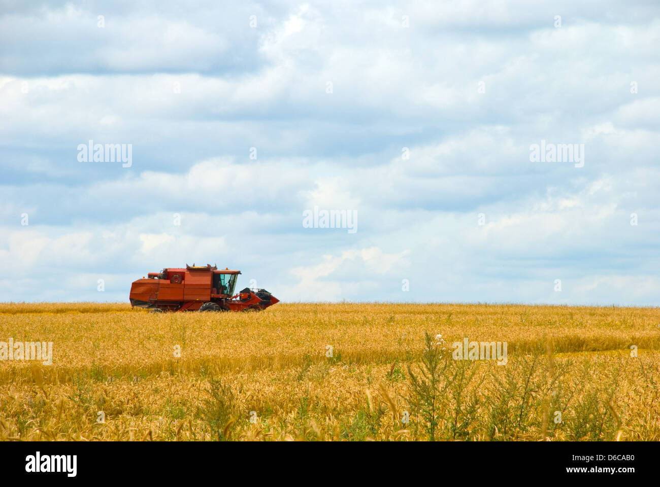 Arbeiten auf einer Weizen-Getreide Mähdrescher Stockfoto