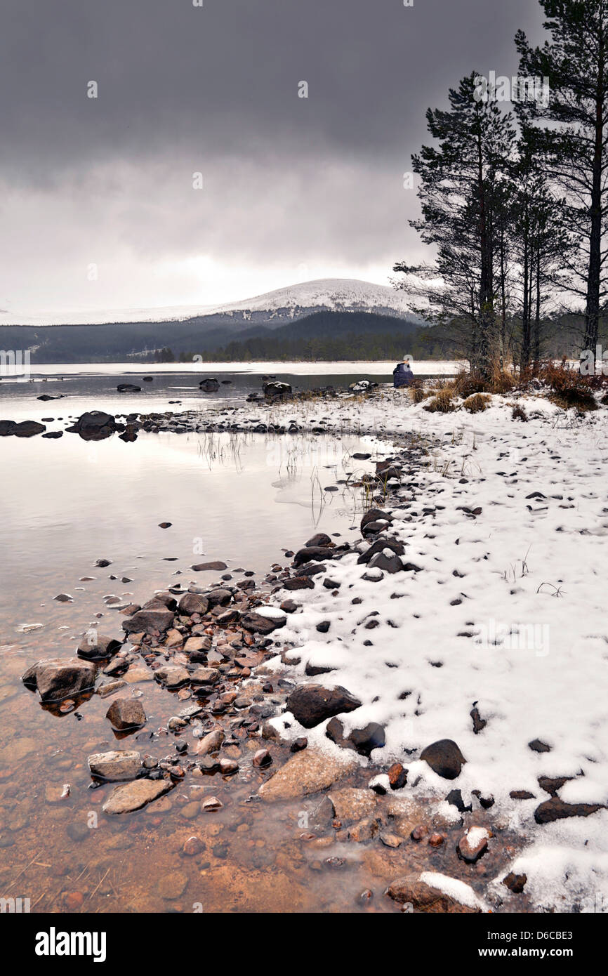 Loch Morlich; Winter; In der Nähe von Aviemore; Schottland; UK Stockfoto