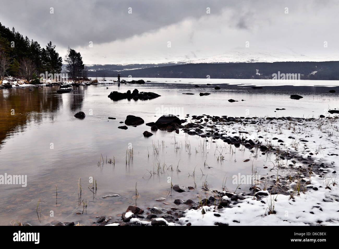 Loch Morlich; Winter; In der Nähe von Aviemore; Schottland; UK Stockfoto