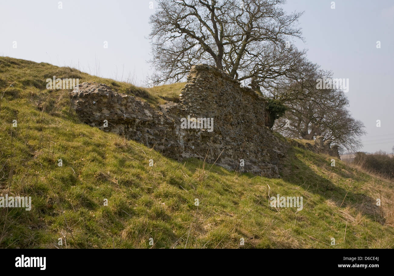 Website der römischen Stadt von Venta Icenorum, Caister St Edmund, Norfolk, England Stockfoto