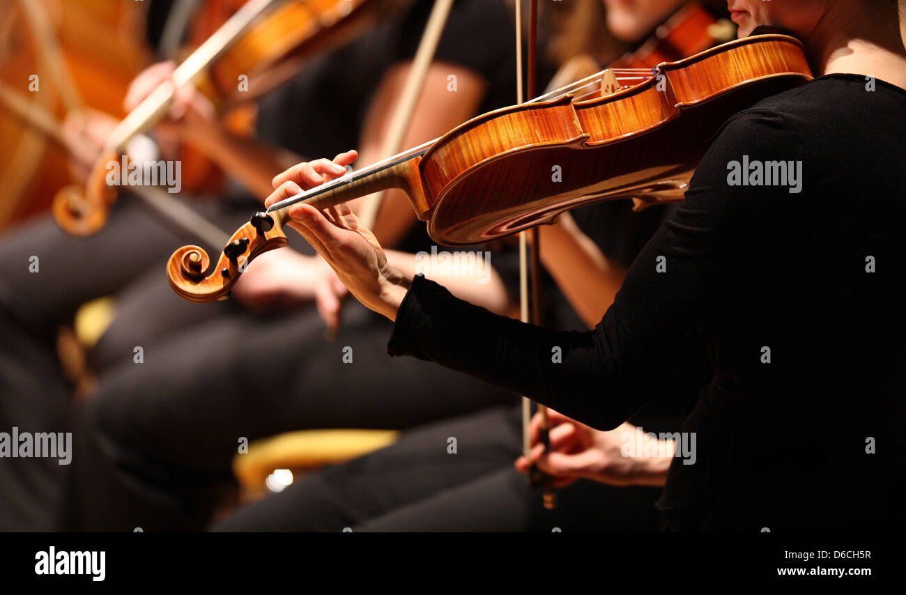Geige, Klassik, Orchester Stockfoto