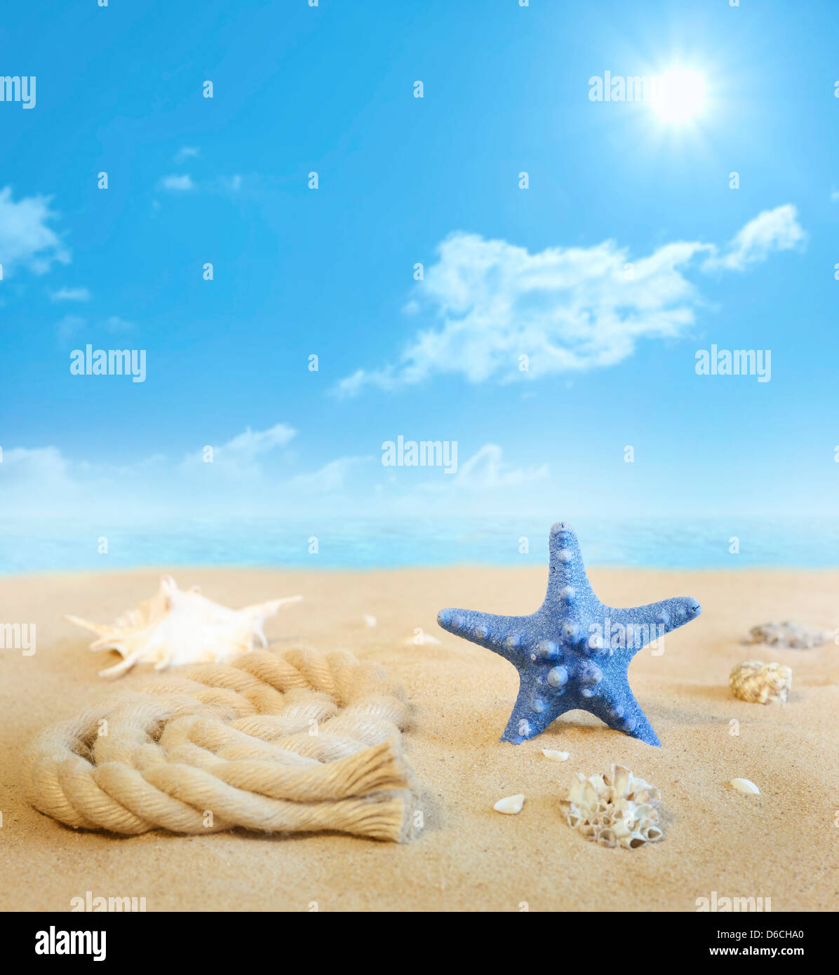 Seestern am Strand im Sand mit Muscheln Hintergrund Konzept Stockfoto