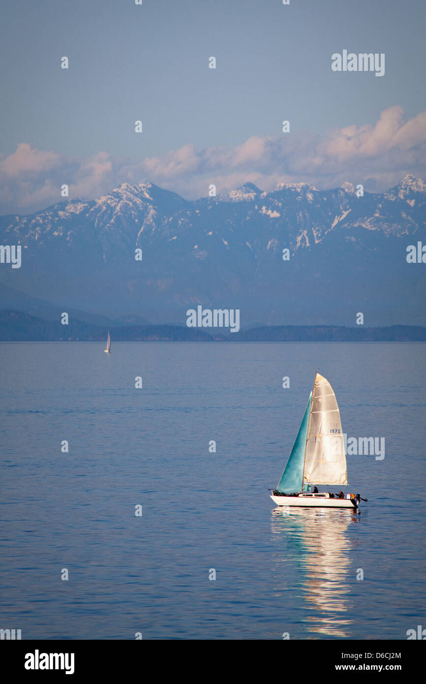 Segelboote, gesehen von der Vancouver Island-Fähre, Vancouver, Kanada Stockfoto