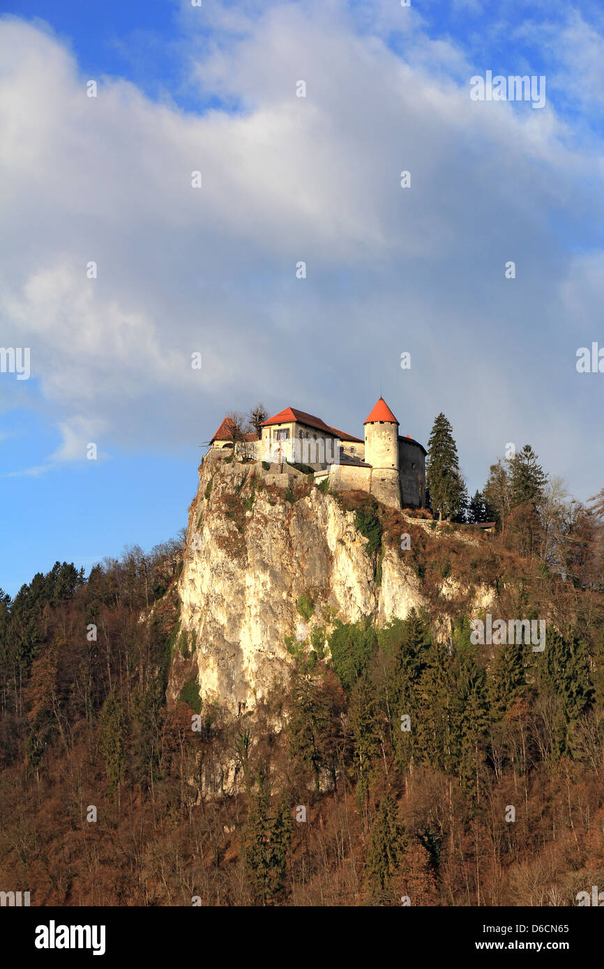 Burg oberhalb der Stadt Bled in Slowenien Stockfoto