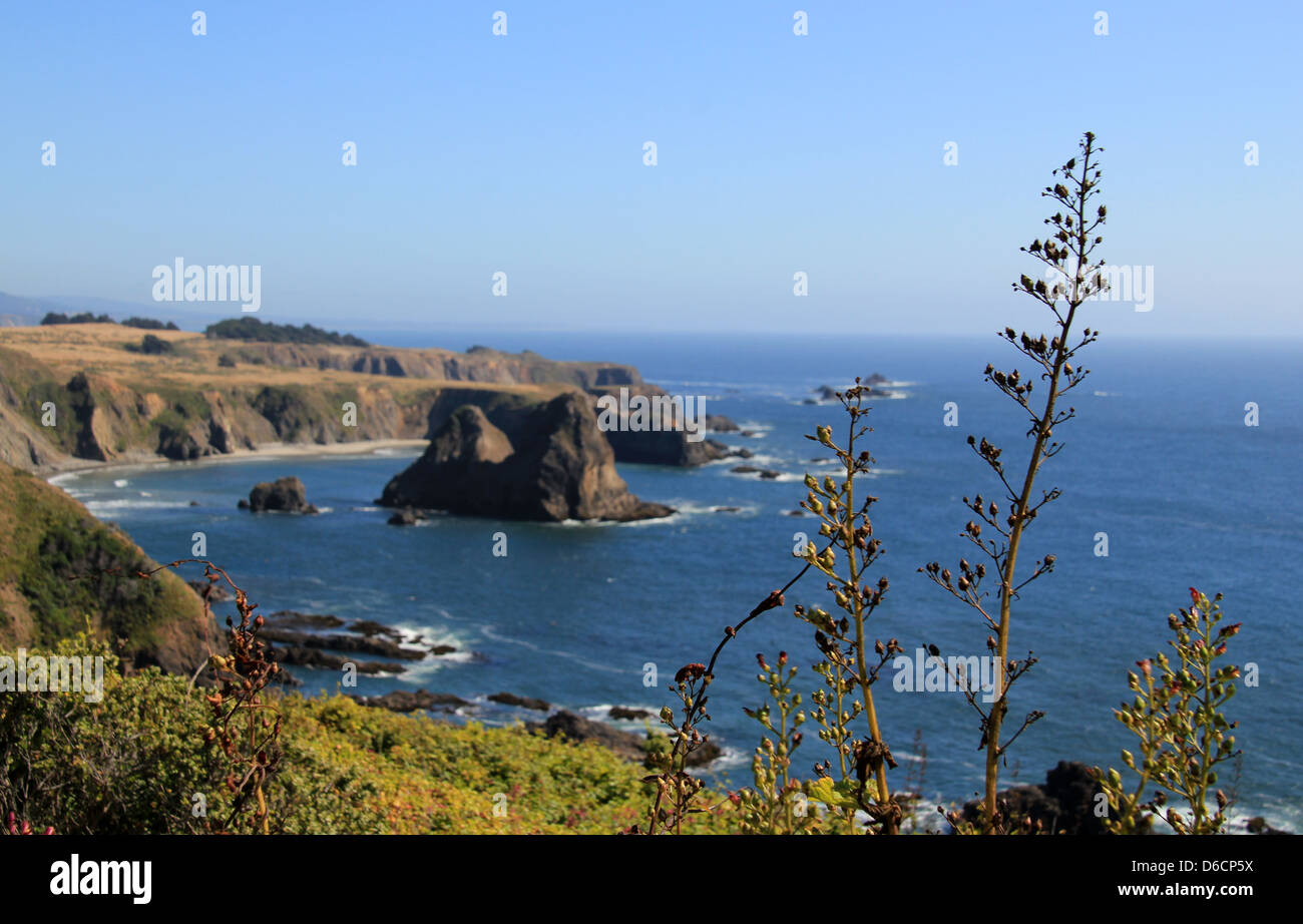 Pazifischen Ozean Küste entlang Highway 1, Kalifornien, USA Stockfoto