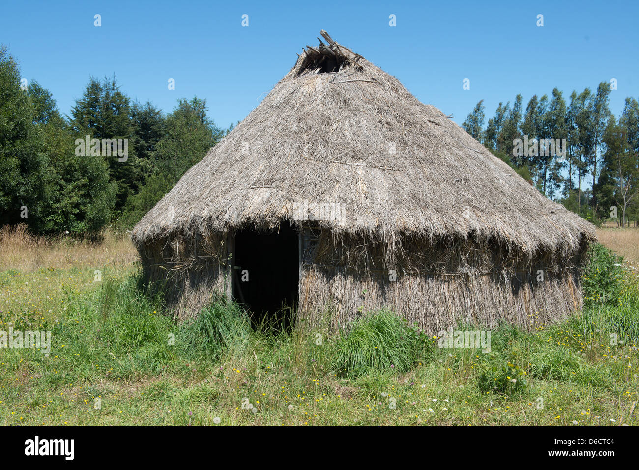 Traditionelle Mapuche strohgedeckten Hütte in Temuco, Chile Stockfoto