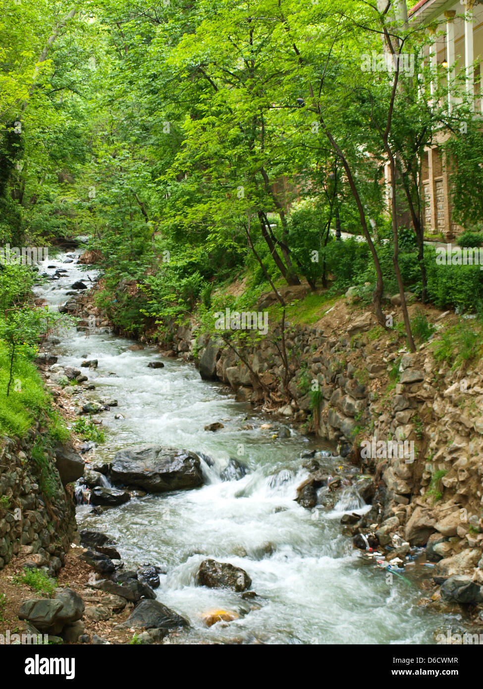 Wald und Bach über Felsen in Teheran, Iran Stockfoto