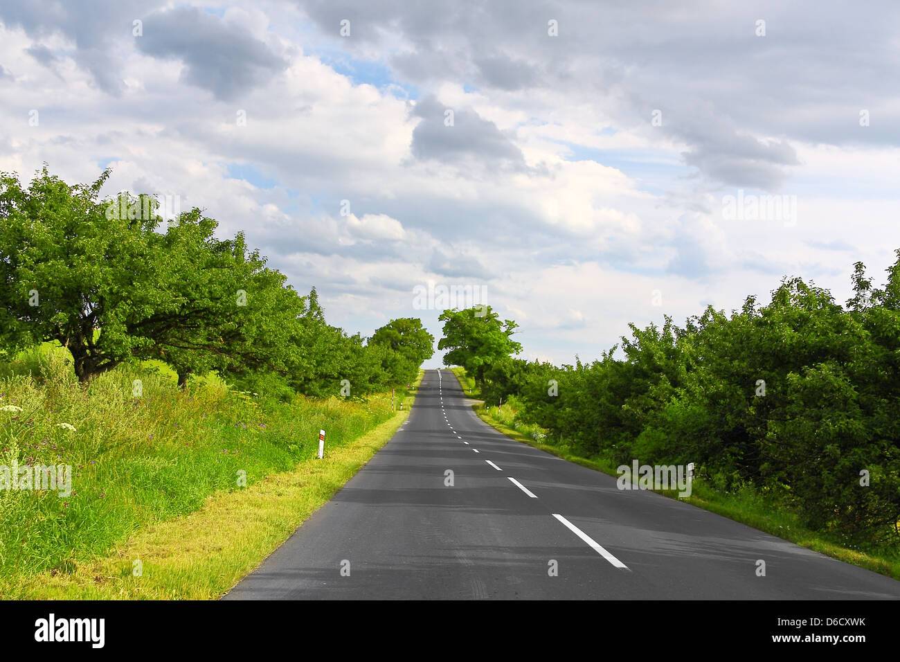 Leere Straße Stockfoto