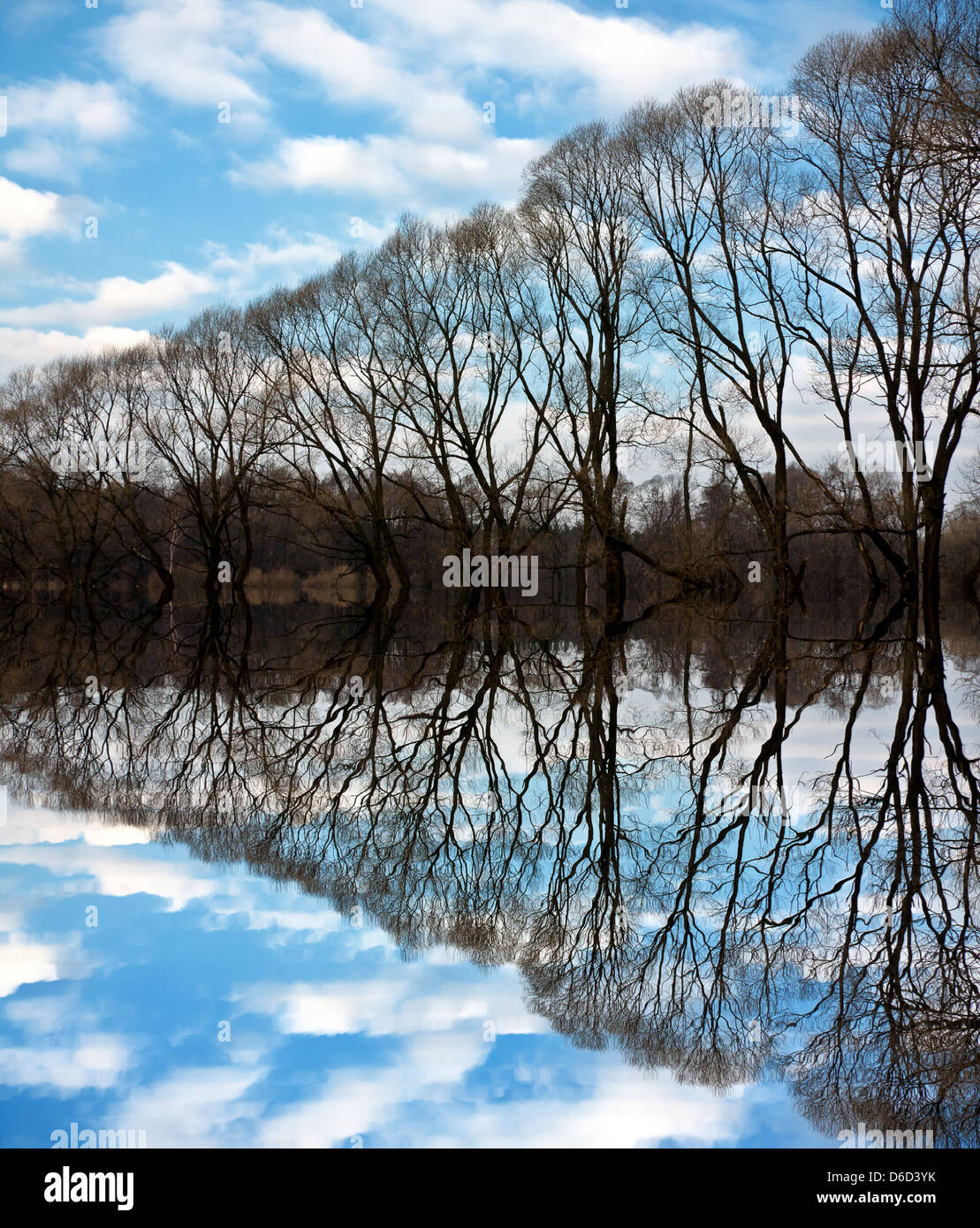 Reihe von Bäumen am Ufer eines Flusses Stockfoto