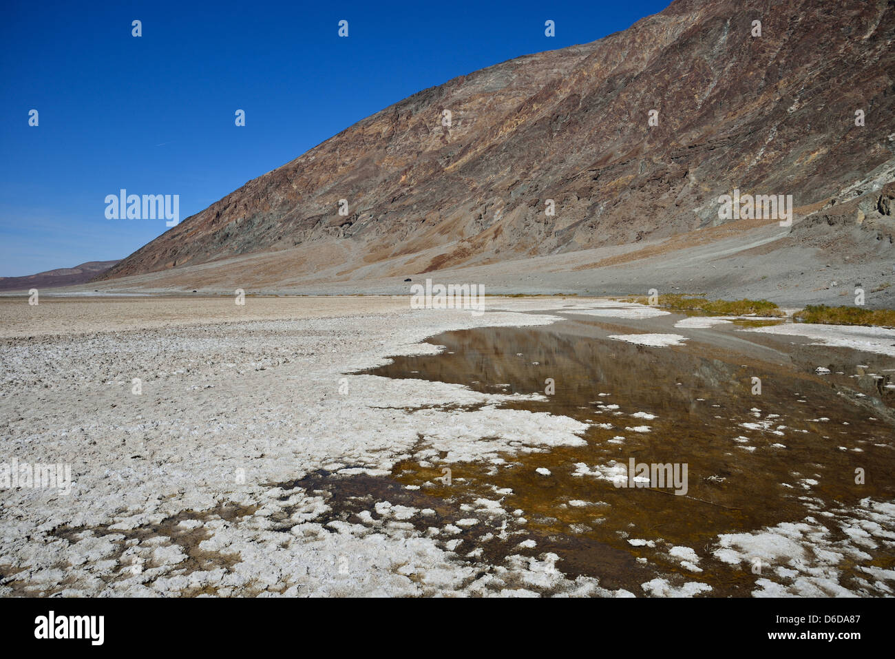 Salzkristalle wachsen in einem Salz-Wasser-Teich bei Badwater Basin. Death Valley Nationalpark, Kalifornien, USA. Stockfoto