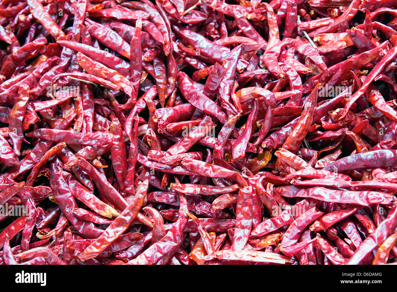 Getrocknete rote Chilischoten in Südost-Asien Wet Markthintergrund Stockfoto